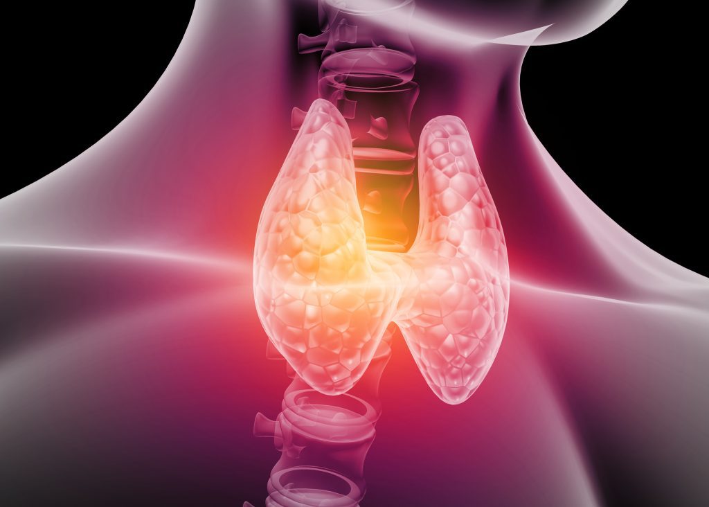 Thyroid Disorder Management